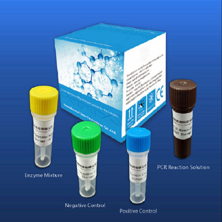 Tenor Diagnostic Test kits enim Covid-MMXIX multum in Real-time Pcr Platform